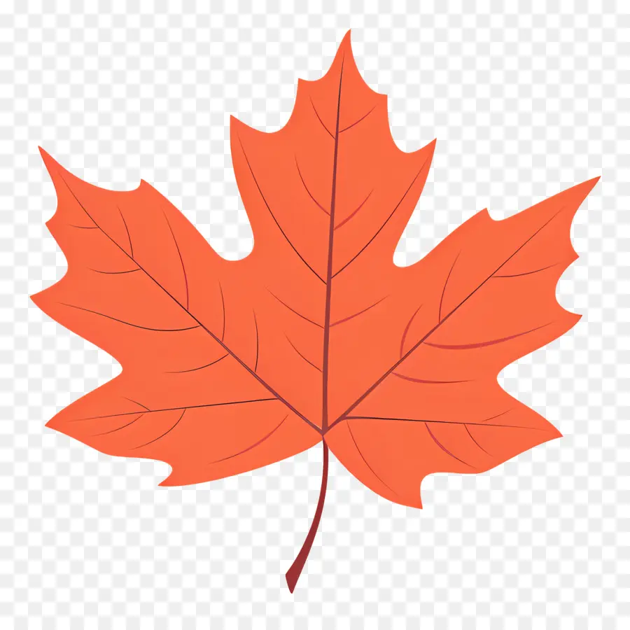 Maple Leaf，Outono PNG