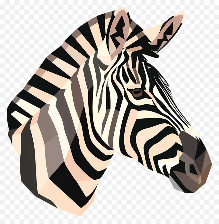 Zebra De Descarga，Zebra PNG