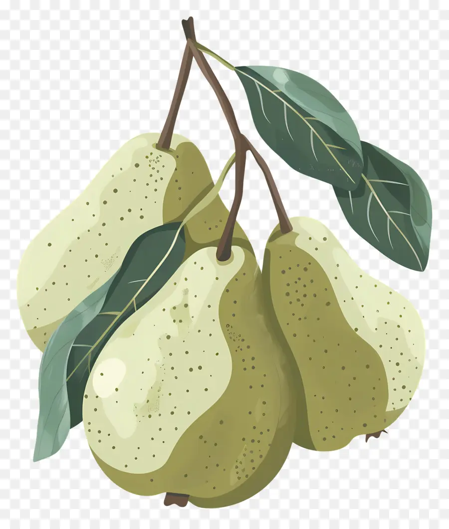 Peras，Frutas PNG