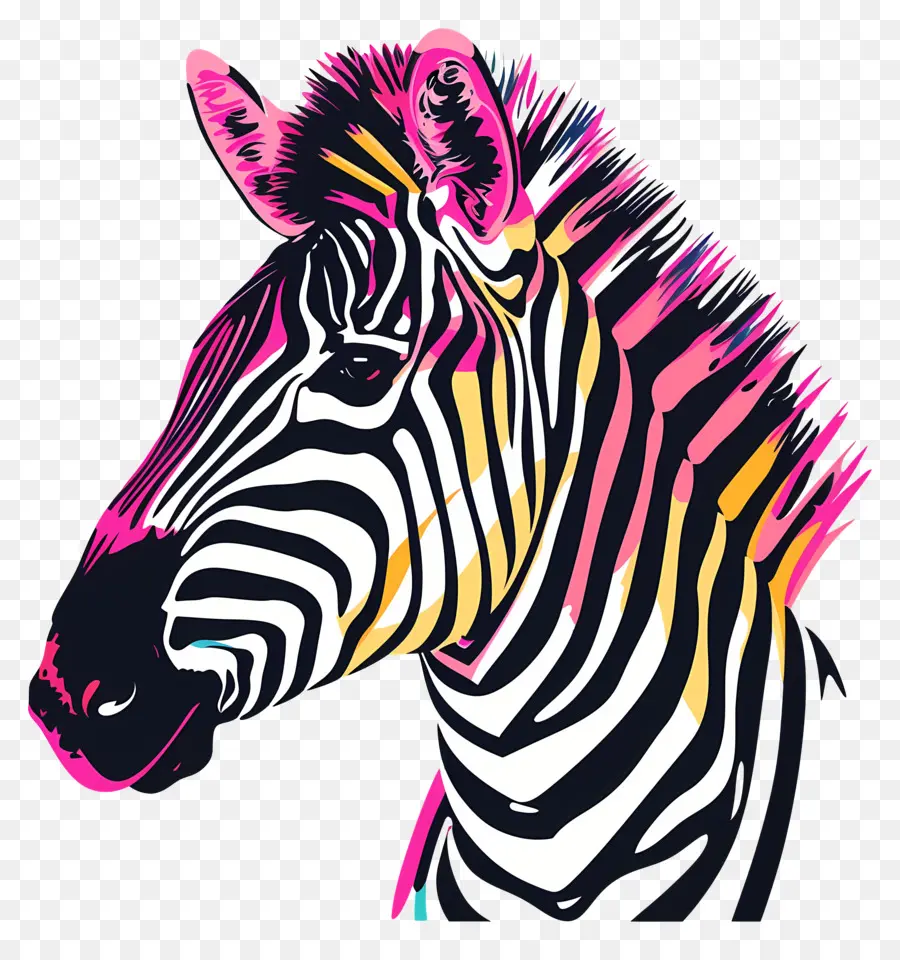 Zebra De Descarga，Zebra PNG