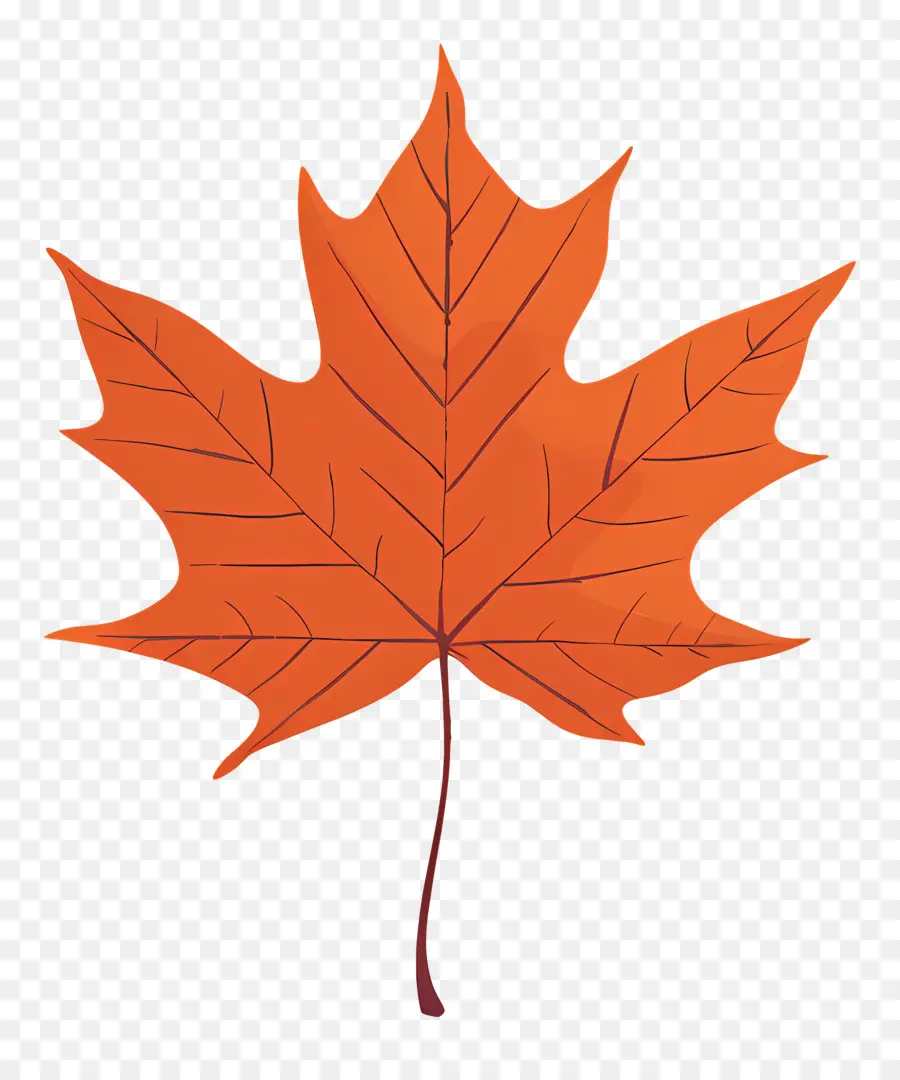 Maple Leaf，Laranja Maple Leaf PNG