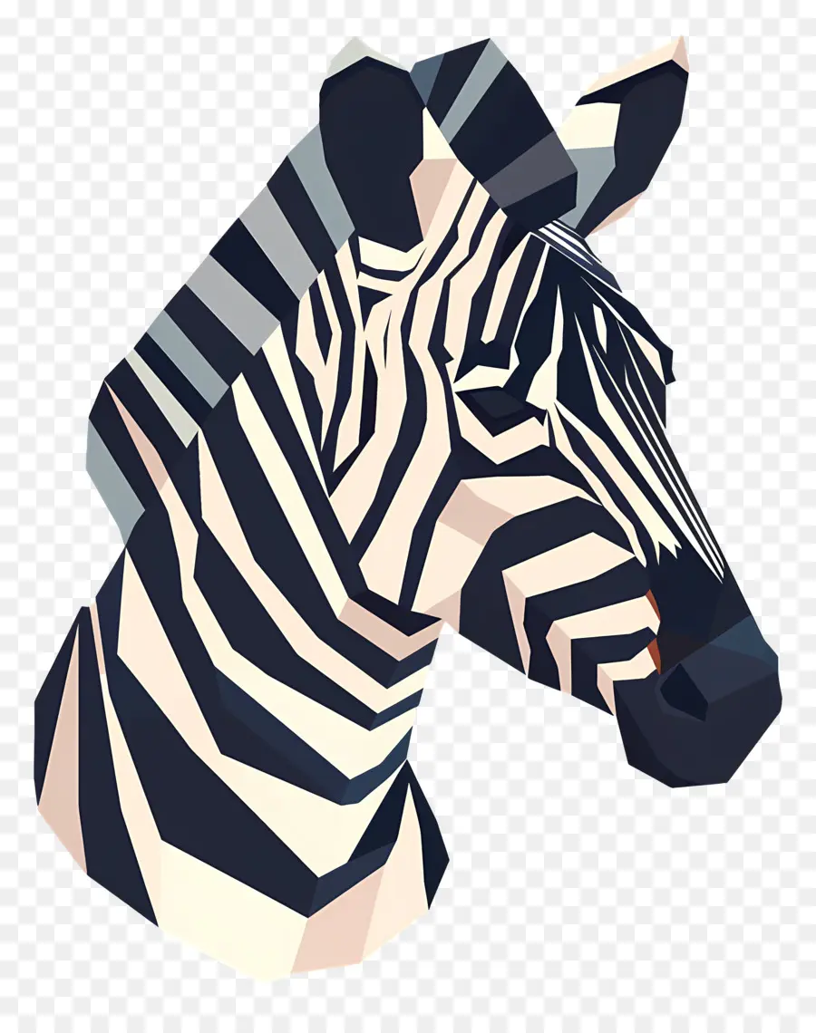 Zebra De Descarga，Zebra PNG