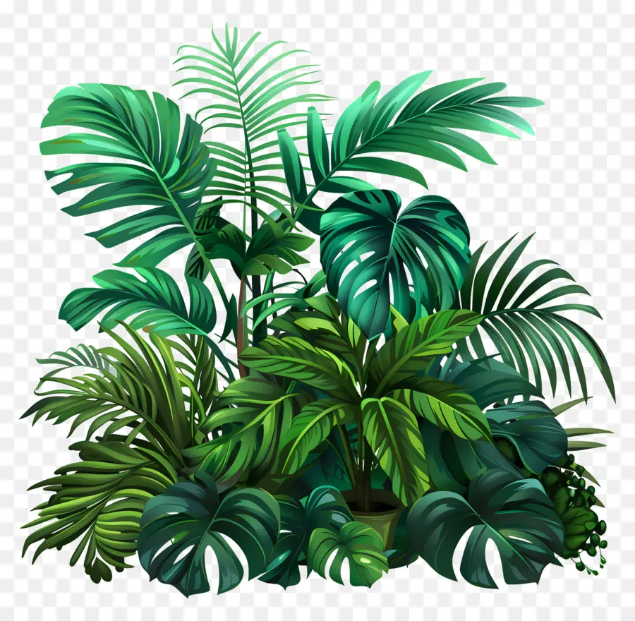 Plantas Da Selva，Plantas Verdes PNG