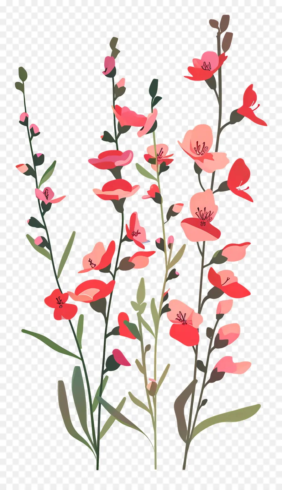 Snapdragons，Flores Cor De Rosa PNG