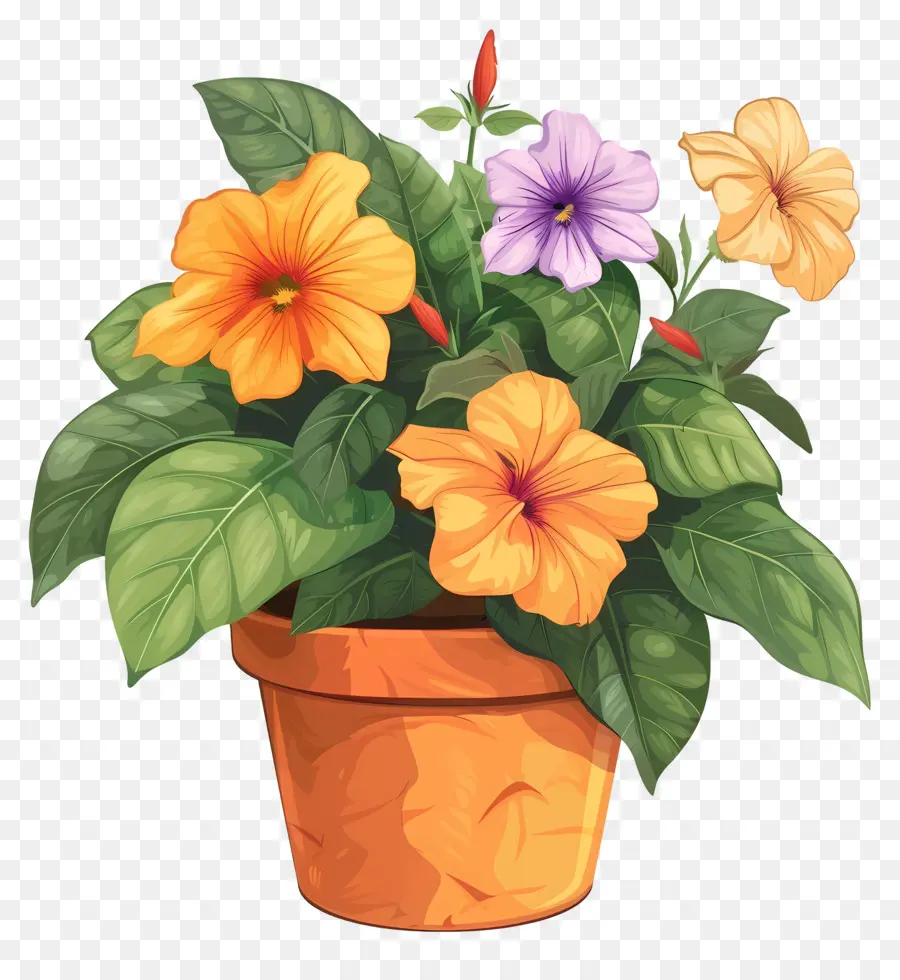 Flores Na Panela，Planta De Vaso PNG