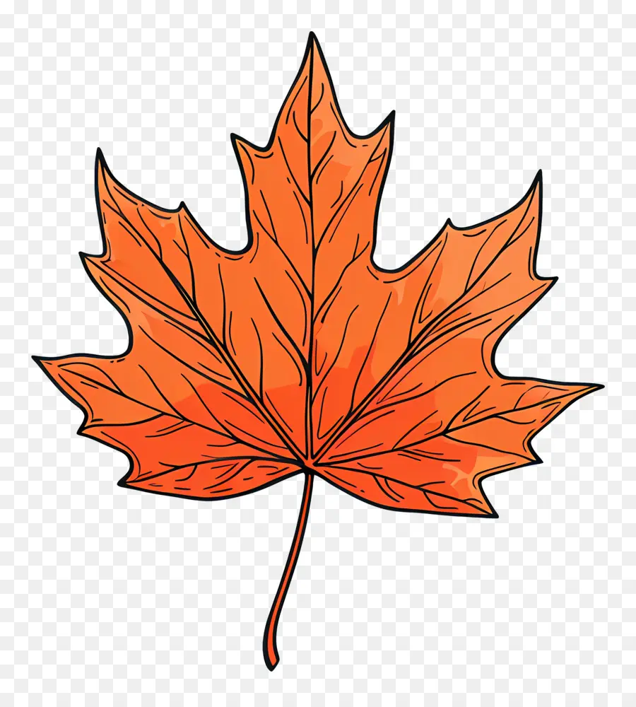 Maple Leaf，Laranja Folha PNG