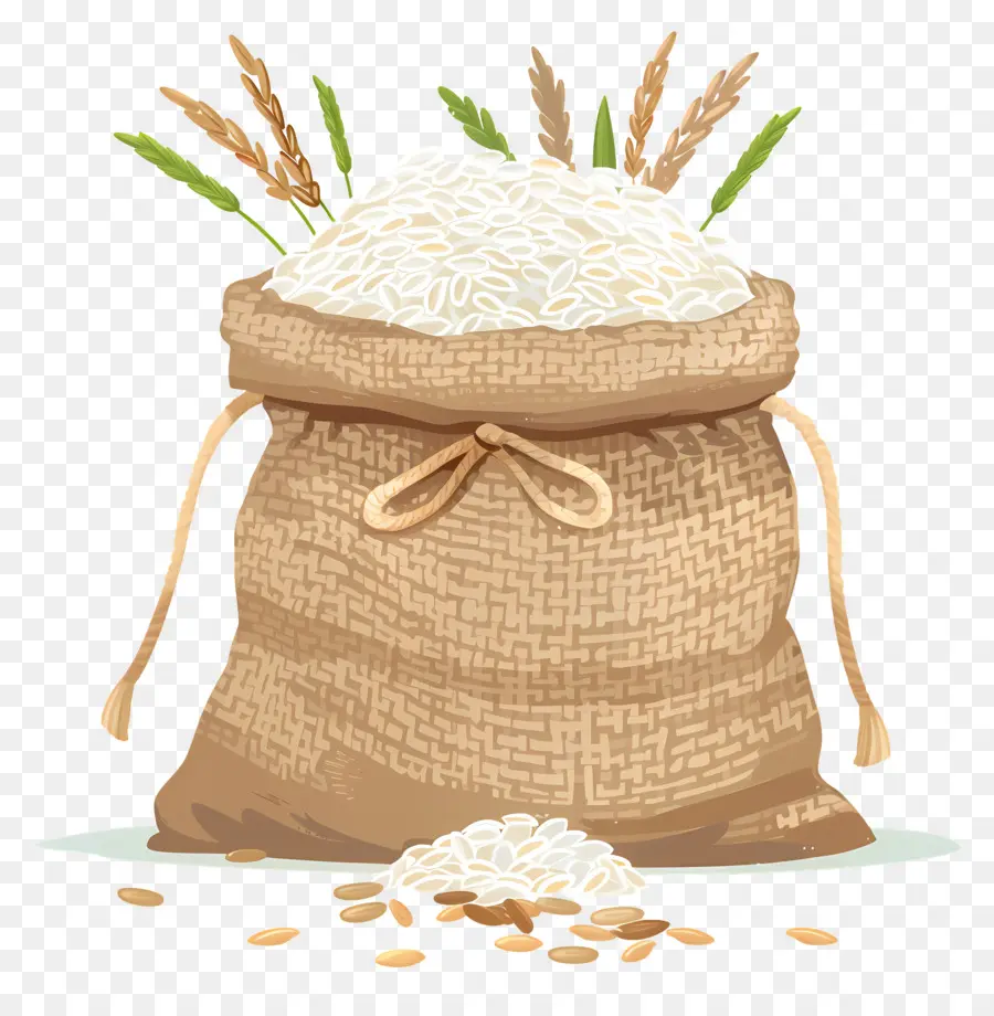 Arroz Na Bolsa，Arroz PNG