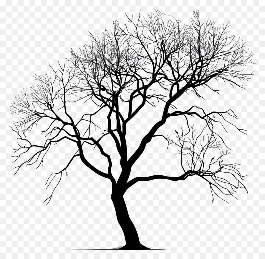 árvore，árvore Negra PNG