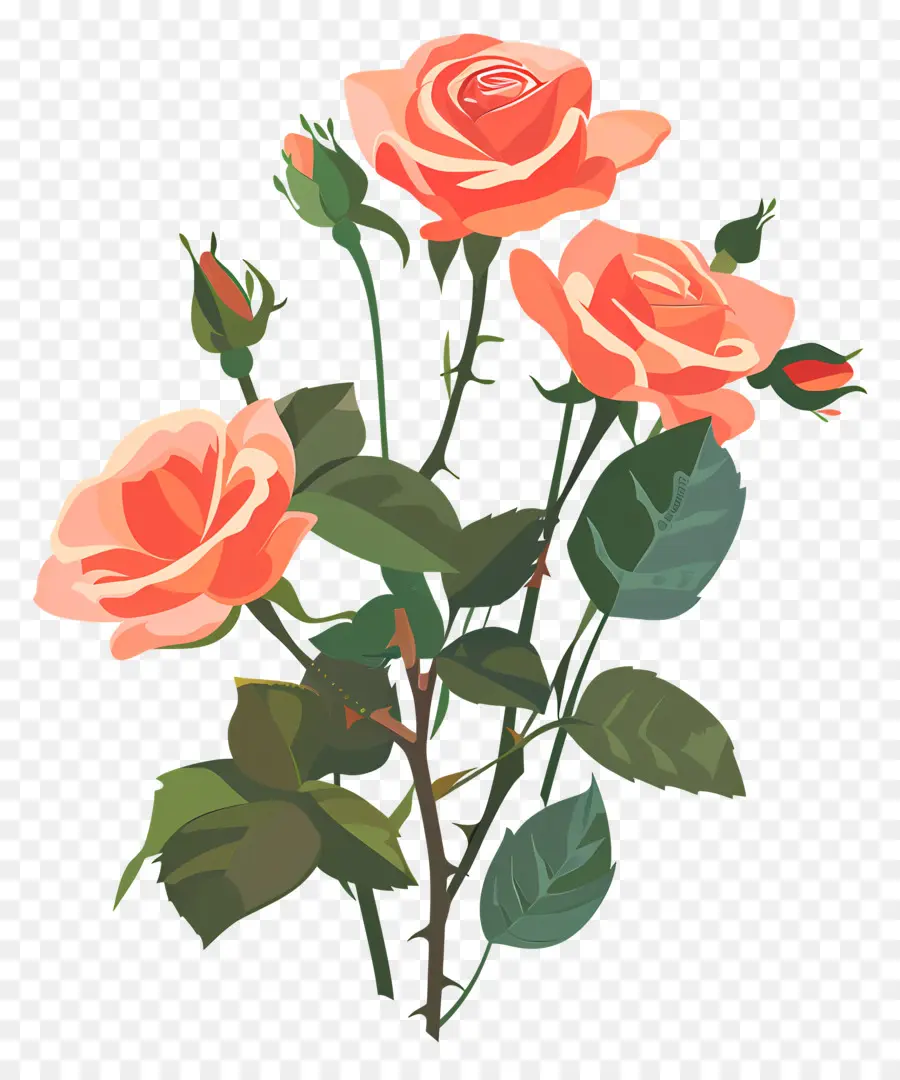 Rose Bouquet，Rosas PNG