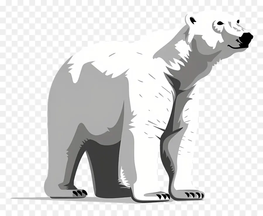 Urso Polar，ártico PNG