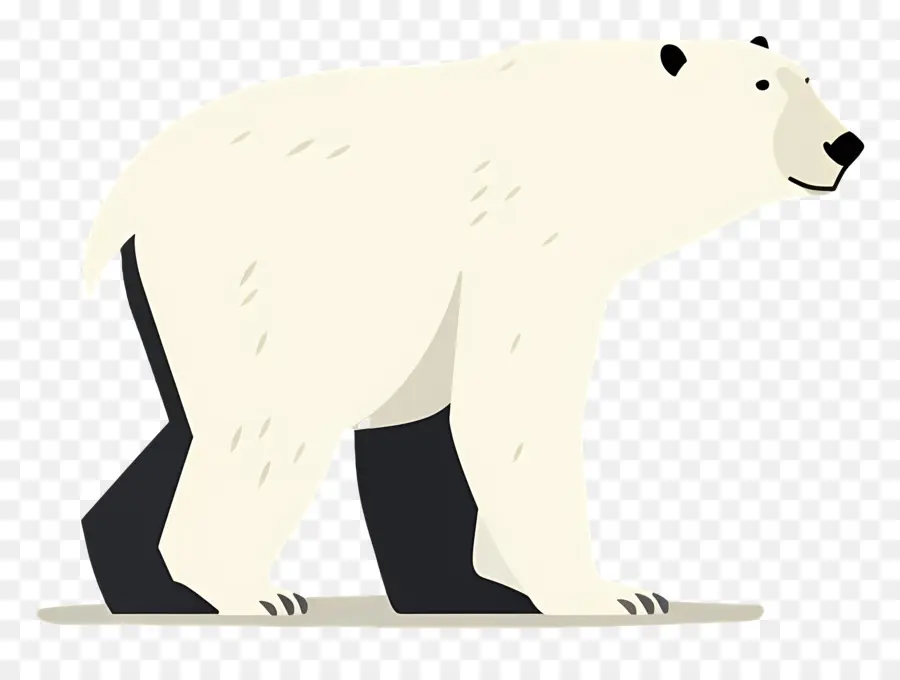 Urso Polar，A Vida Selvagem PNG