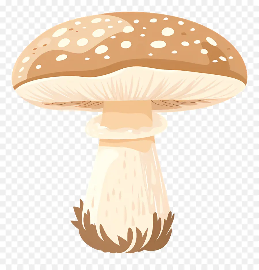 Cogumelo Botão，Cogumelo PNG