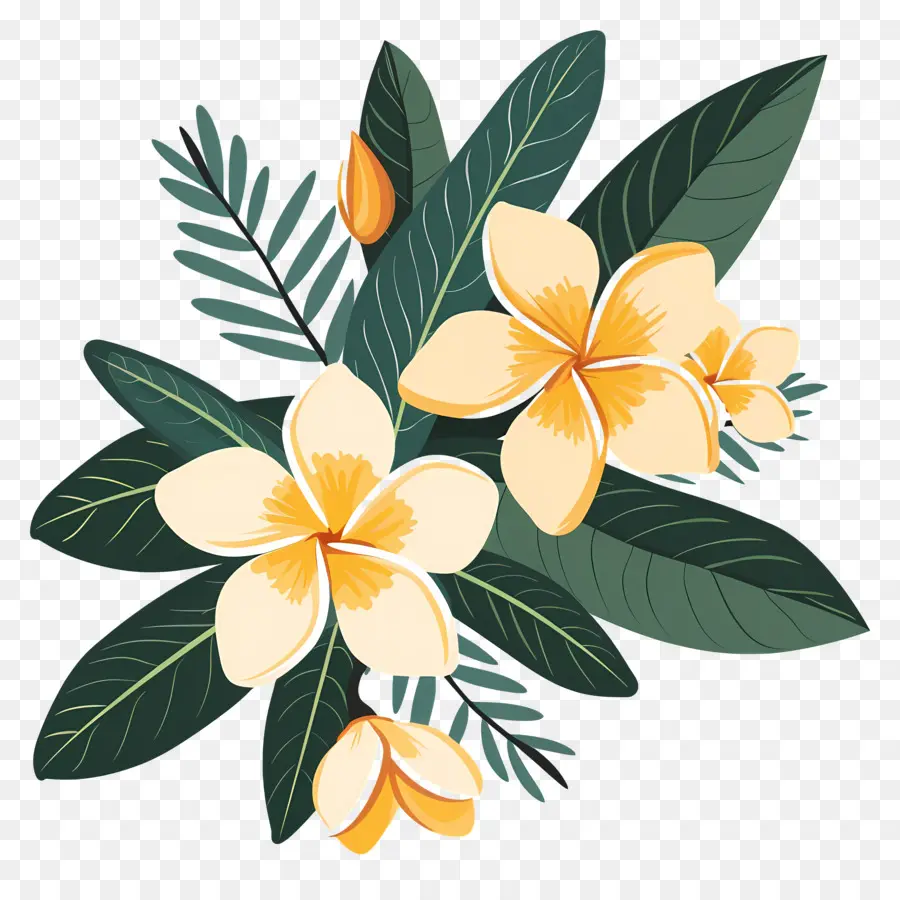 Plumeria，Flores Amarelas PNG