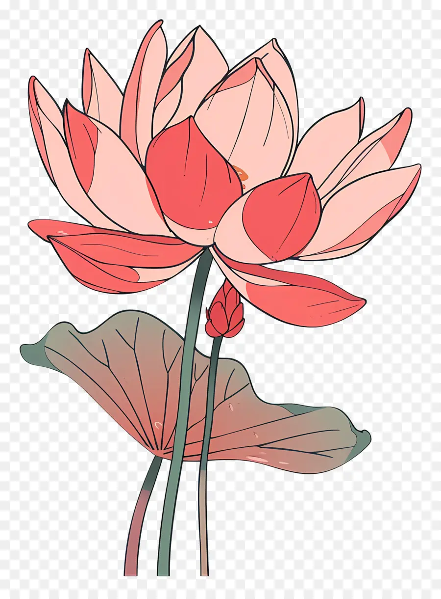 Lotus，Flor De Lótus PNG