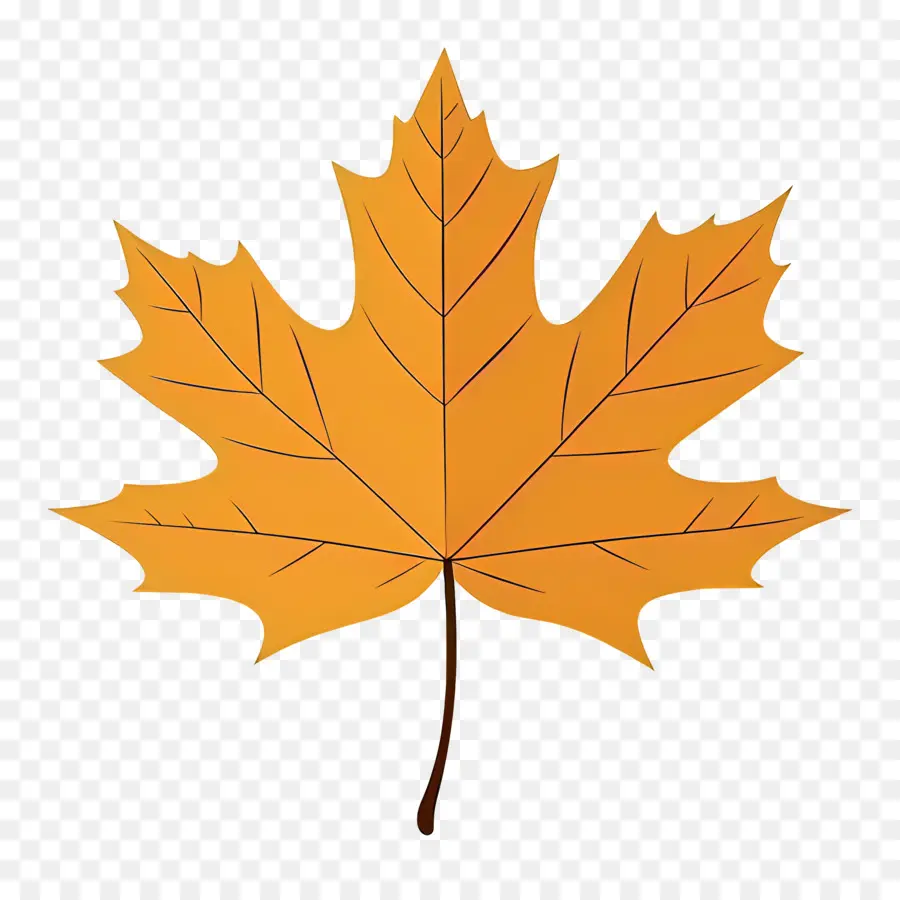 Maple Leaf，Laranja Maple Leaf PNG