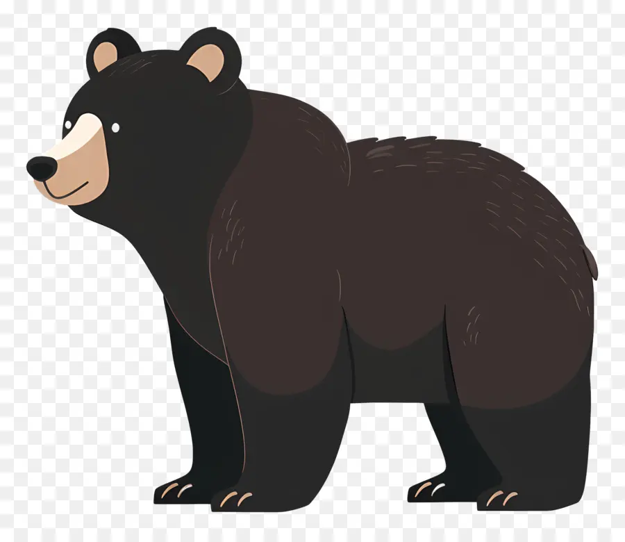 Urso，Urso Negro PNG