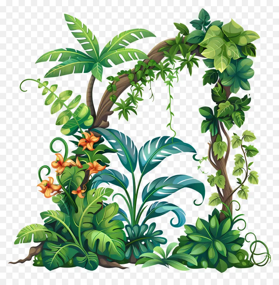 Selva De Videiras，Plantas Da Selva PNG