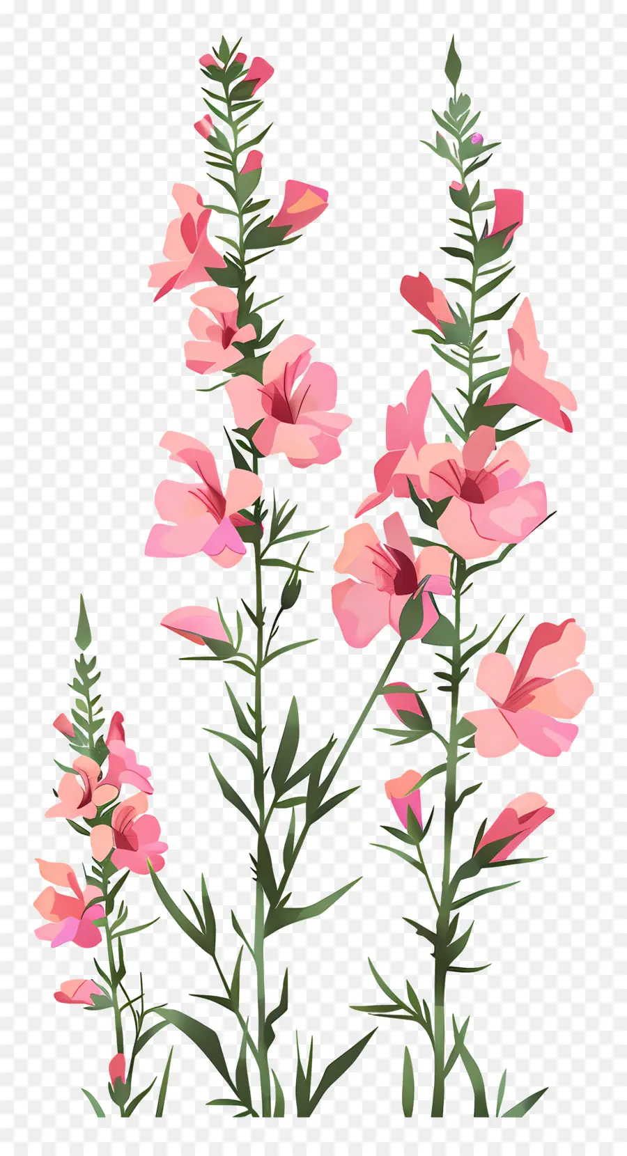 Snapdragons，Flores Cor De Rosa PNG