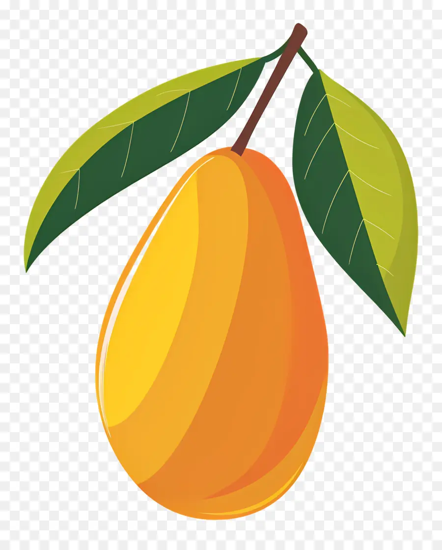 Mango，Laranja PNG