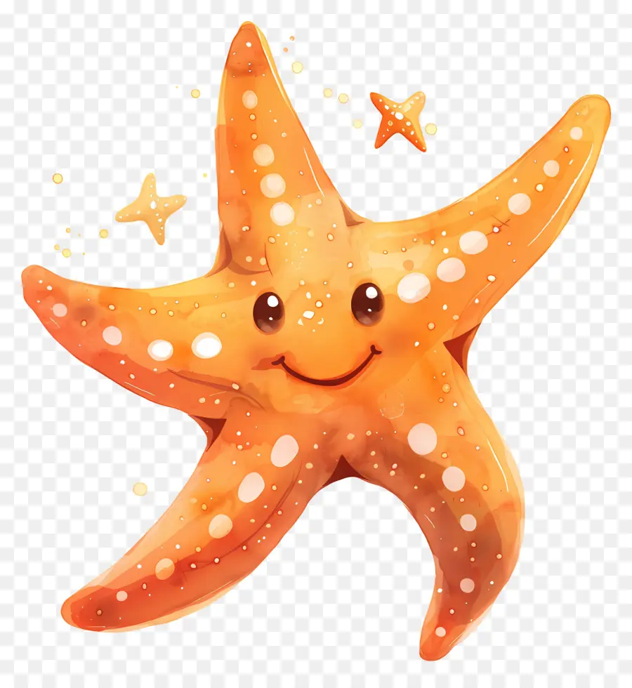 Estrela Do Mar，Sorrindo PNG