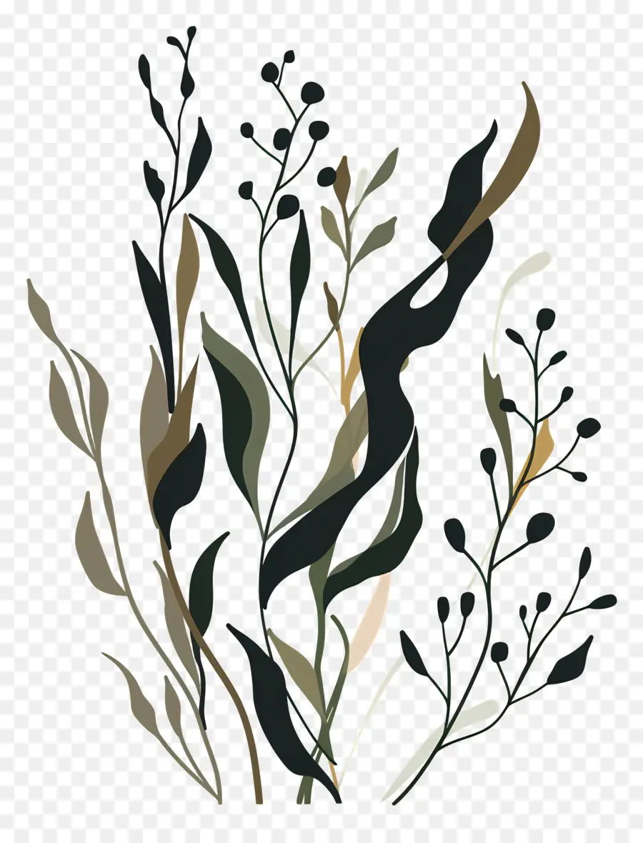 Kelp，Plantas Coloridas PNG