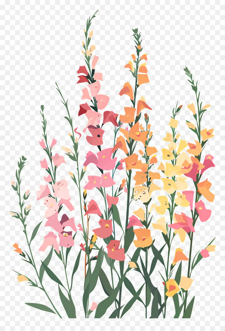 Snapdragons，Merrill Fazenda PNG