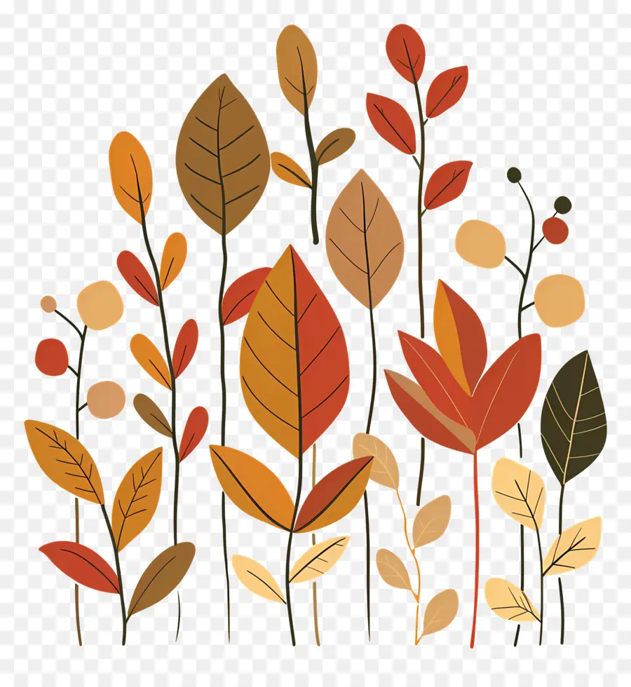 Folhas De Outono，Autumn Leaves PNG