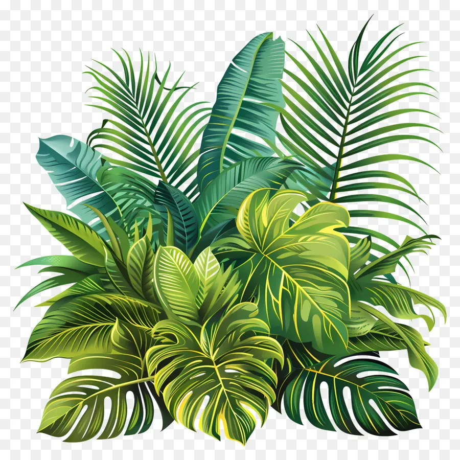 Plantas Da Selva，Planta De Vaso PNG