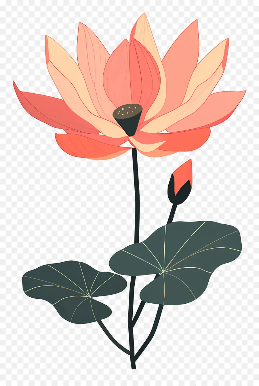 Lotus，Flor Rosa PNG