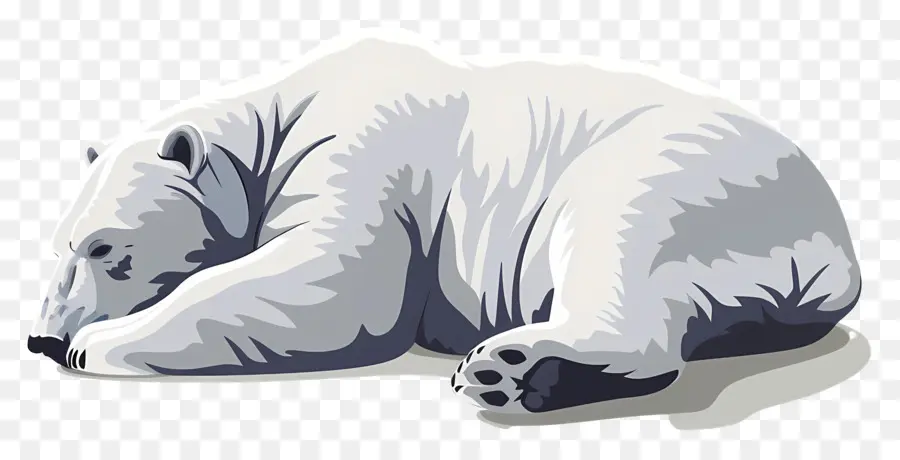 Urso Polar，Animal Do Ártico PNG