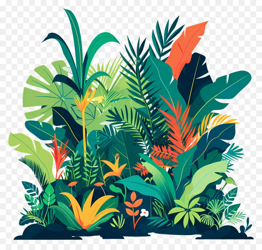 Selva，Plantas Coloridas PNG