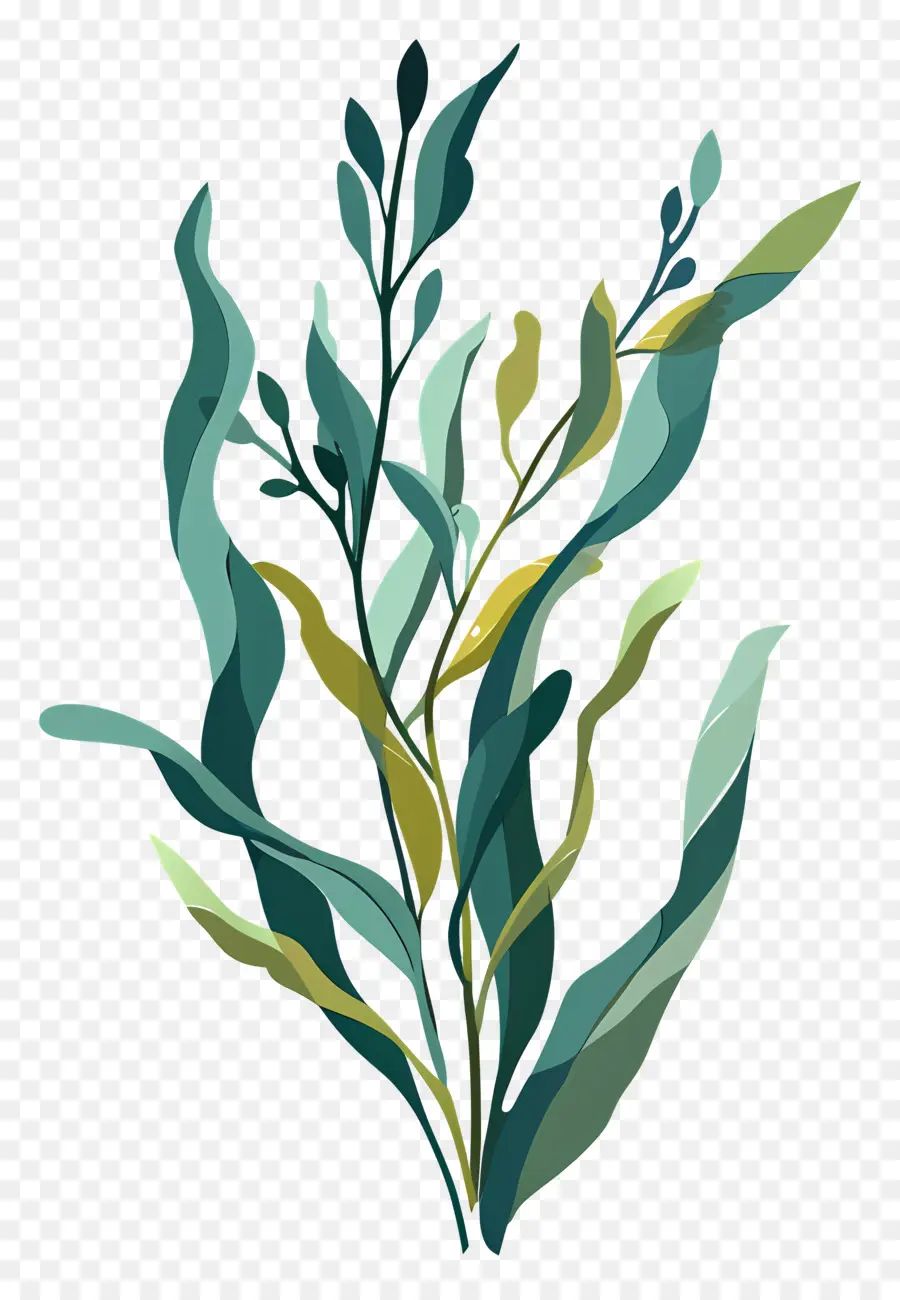 Alga Marinha，Folhas Verdes PNG