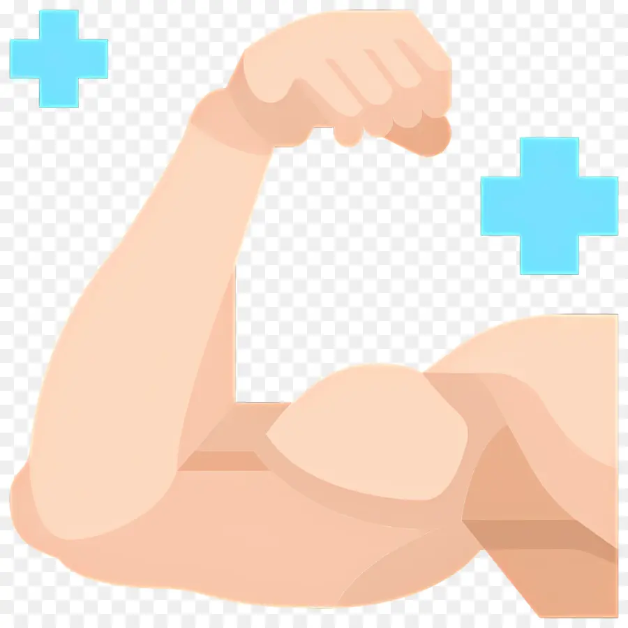 Muscular，Bíceps PNG