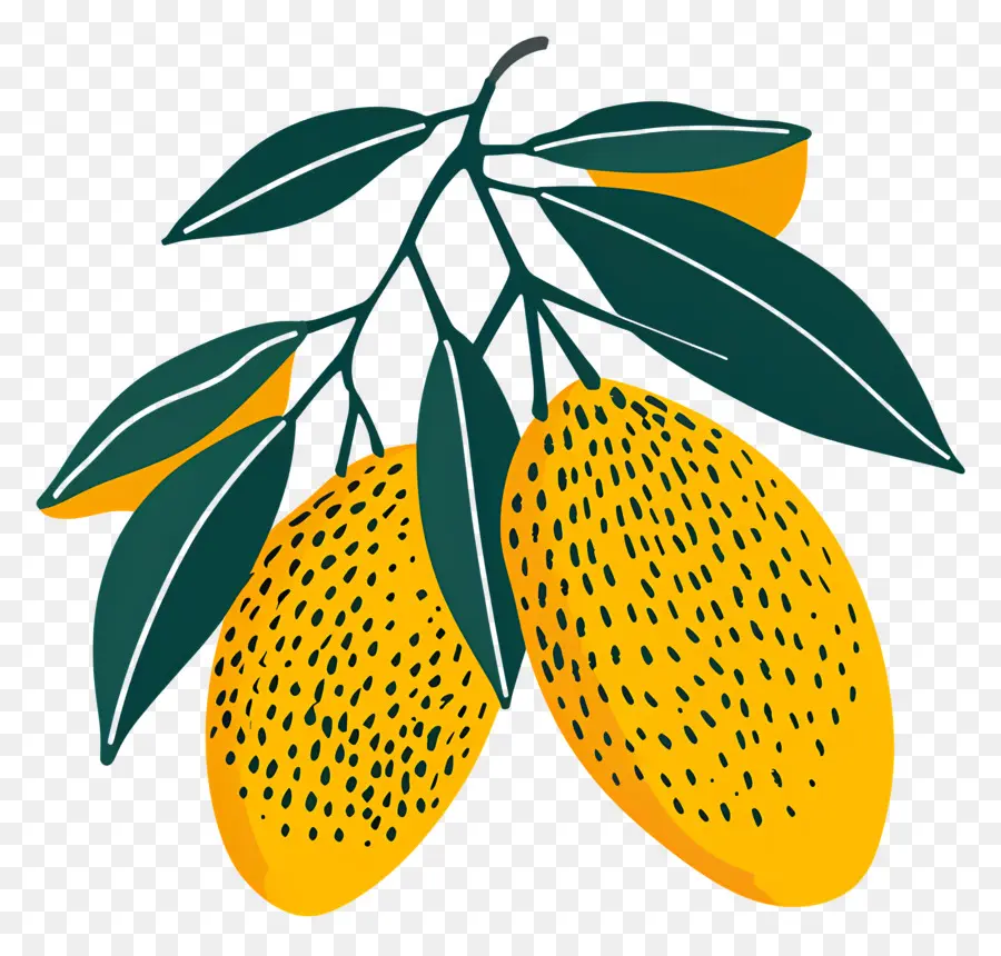 Mango，Ripe PNG