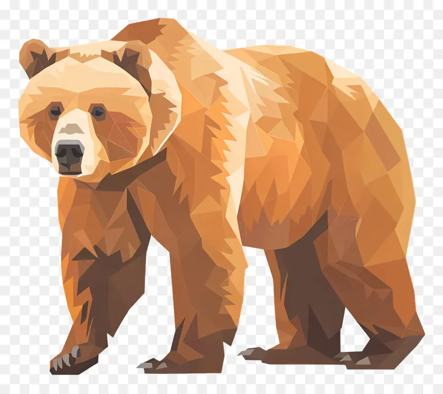 Urso，Triângulo PNG