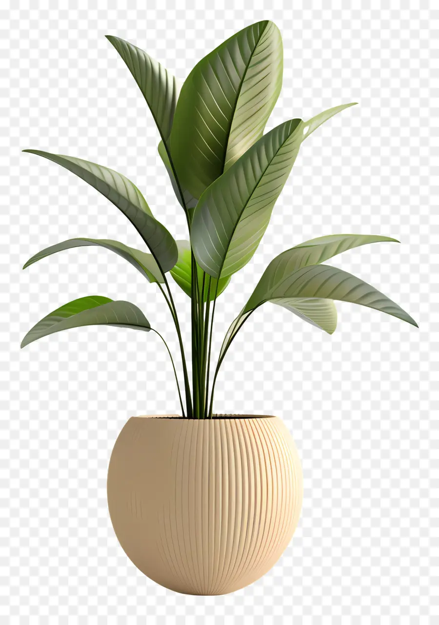 Planta Verde，Planta De Vaso PNG