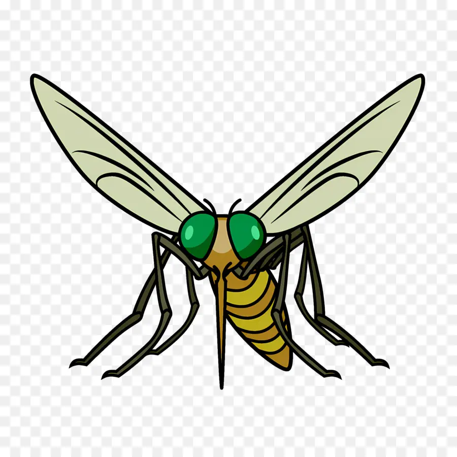 Mosquito，Cartoon PNG