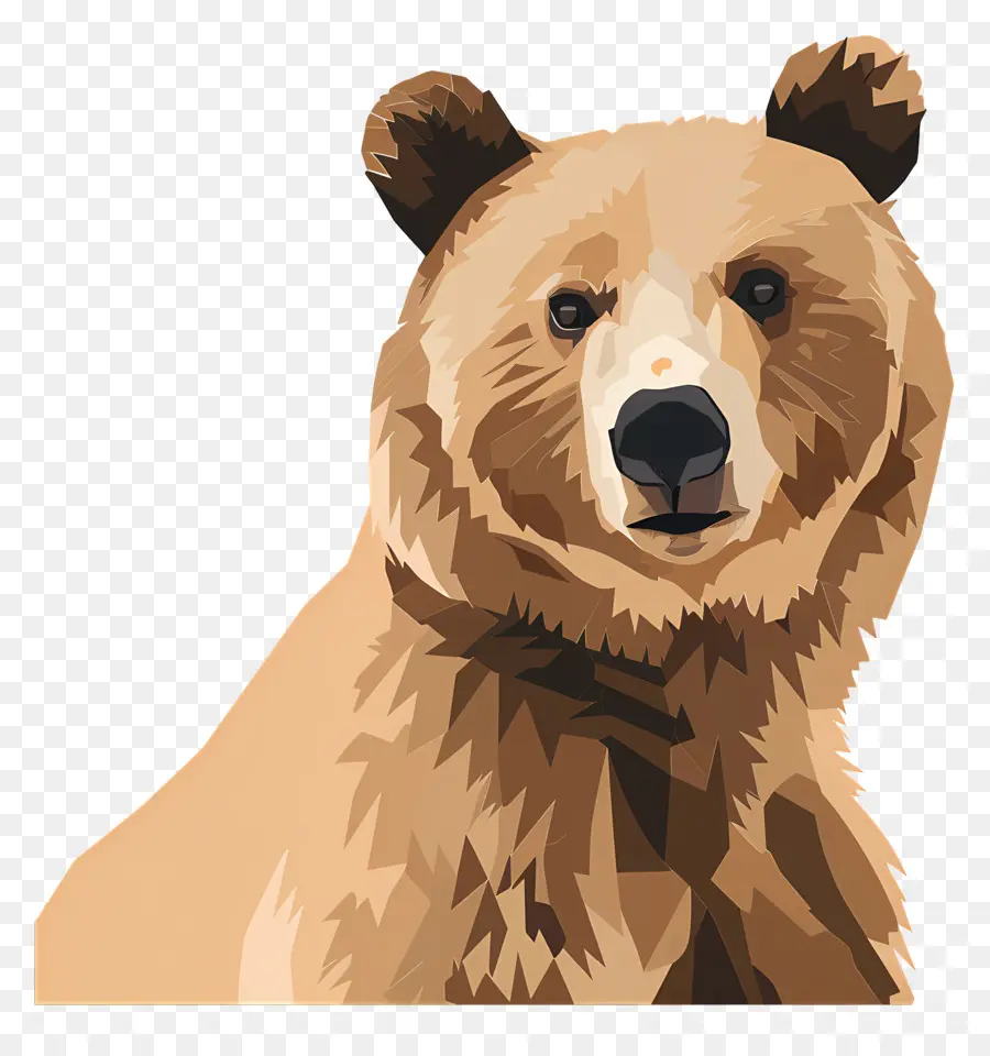 Urso，Urso Marrom PNG