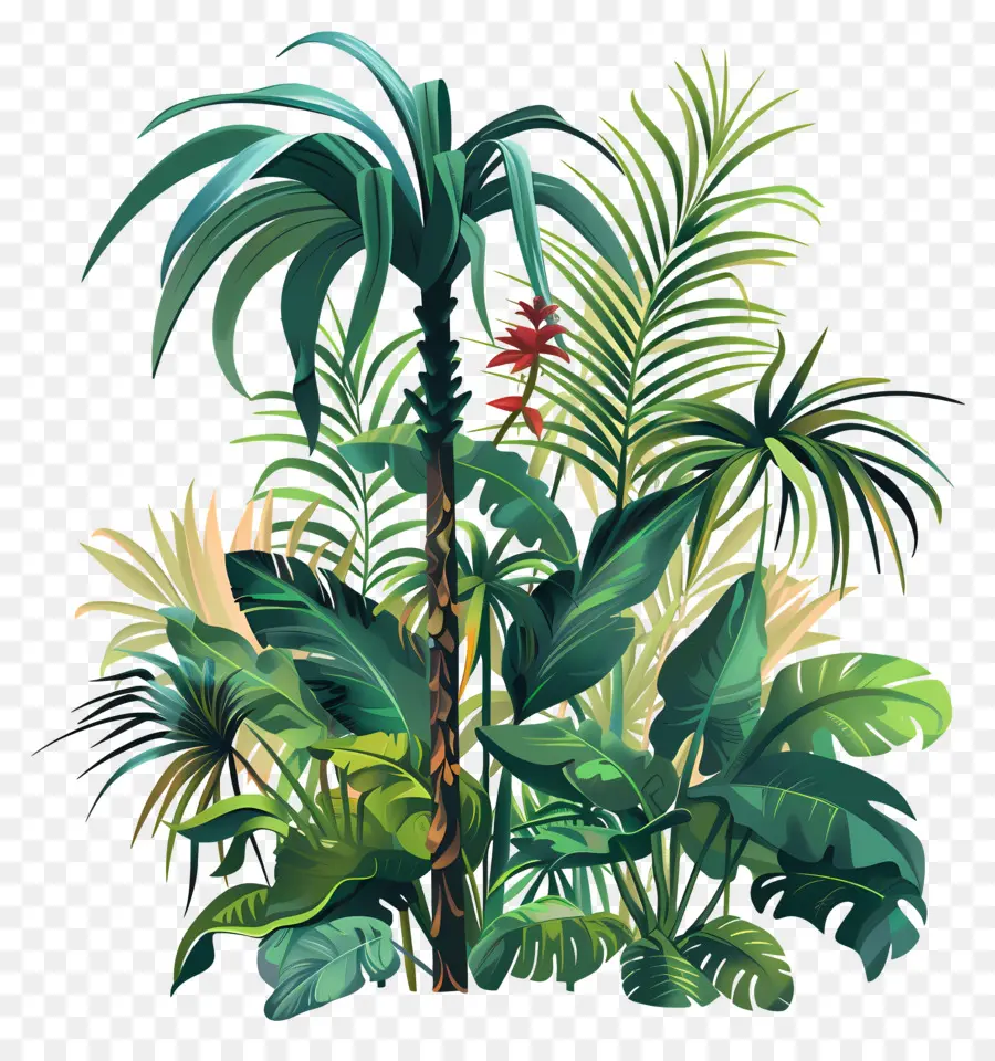 Plantas Da Selva，Plantação Tropical PNG