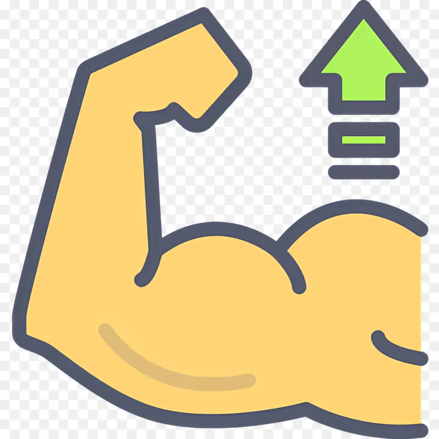 Muscular，Crescimento Muscular PNG