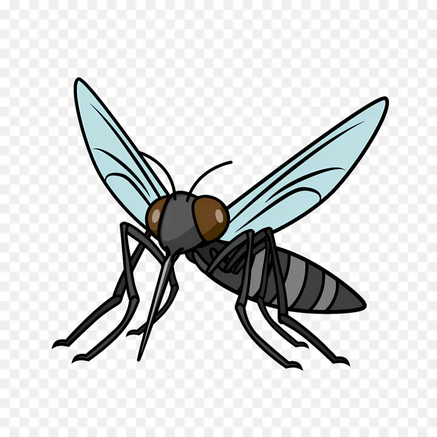 Mosquito，Cartoon PNG