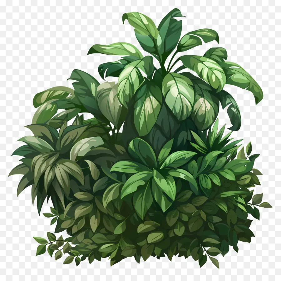 Arbusto Verde，Plantas Verdes PNG