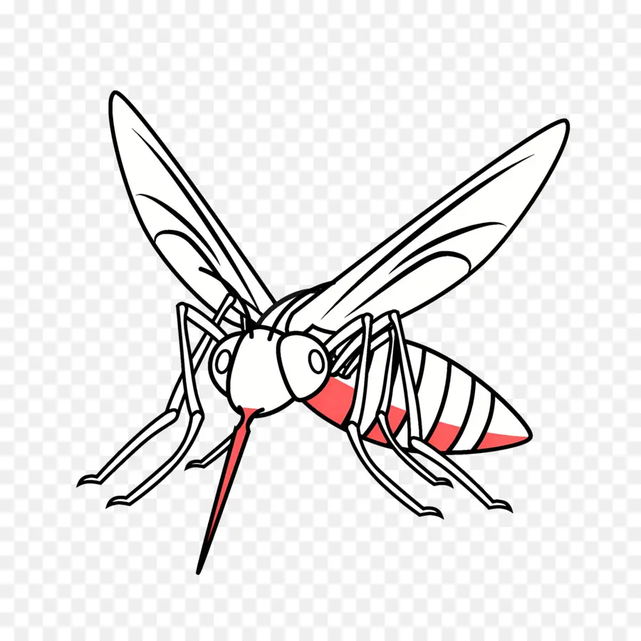 Mosquito，Inseto PNG