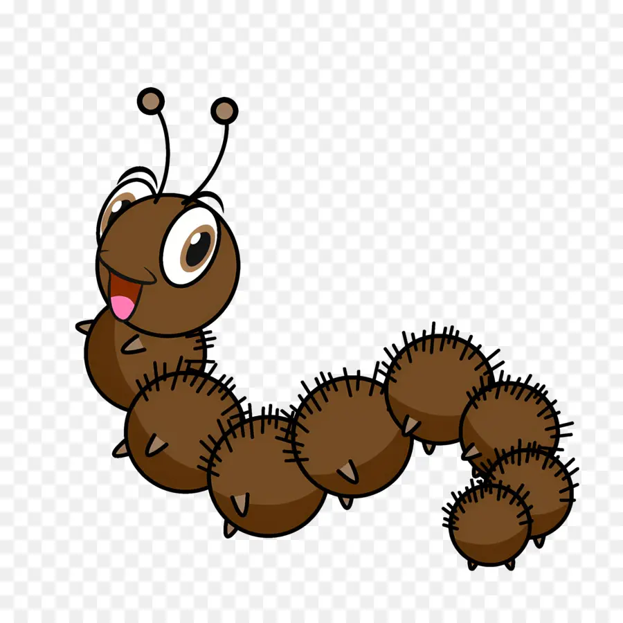 Cartoon Caterpillar，Cartoon Aranha PNG