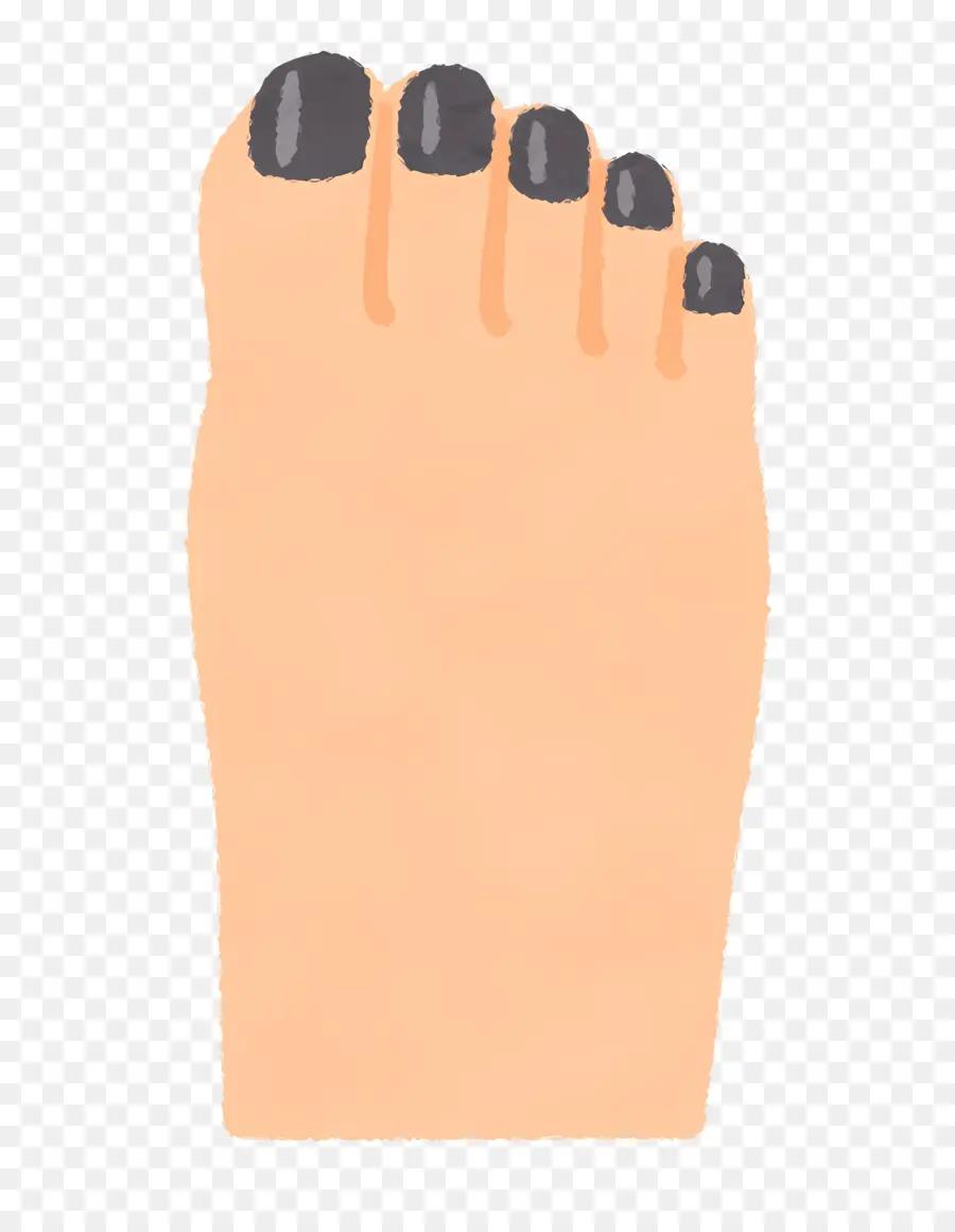 Pé，Nail PNG