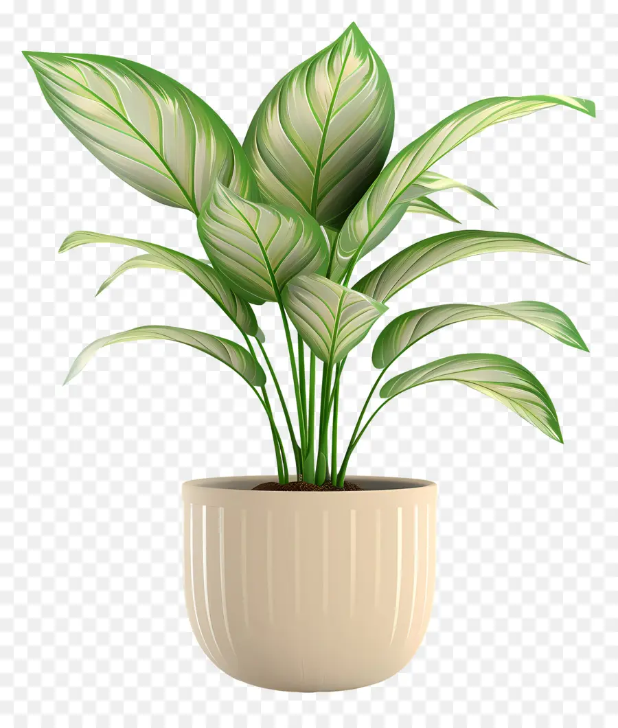 Planta Verde，Planta Em Vaso PNG