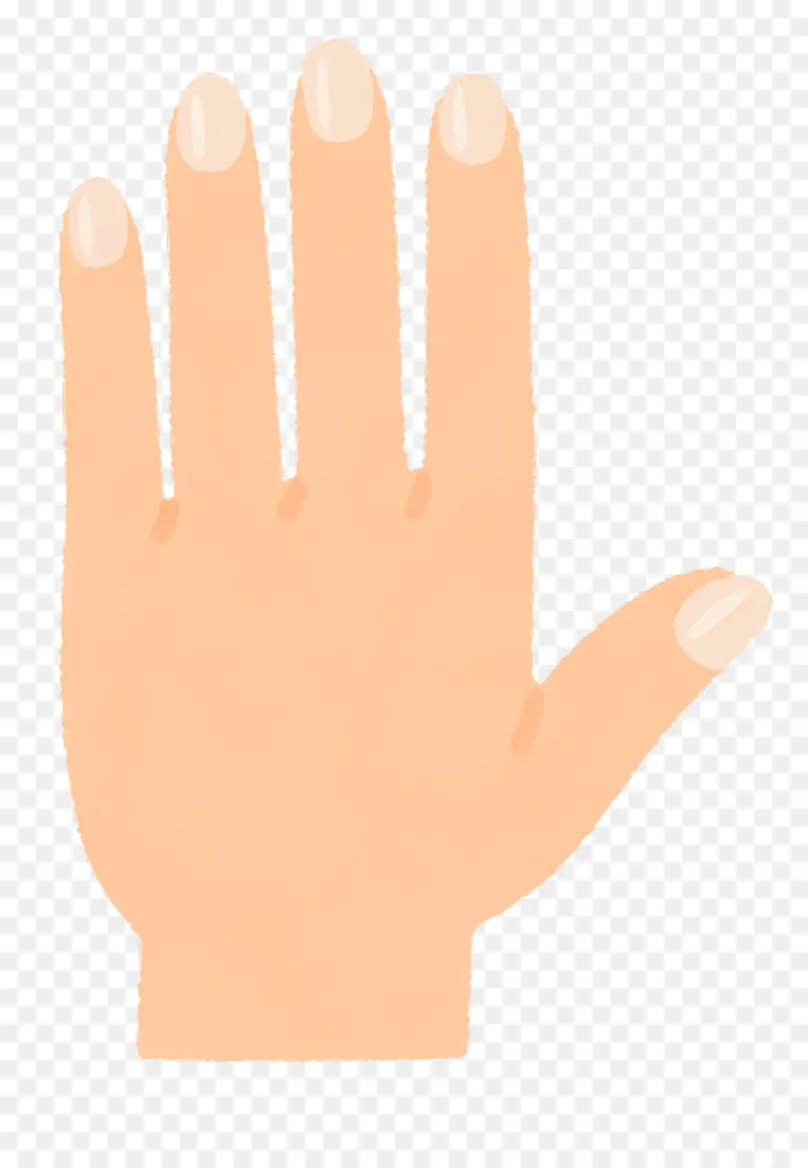 Mão，Nail PNG