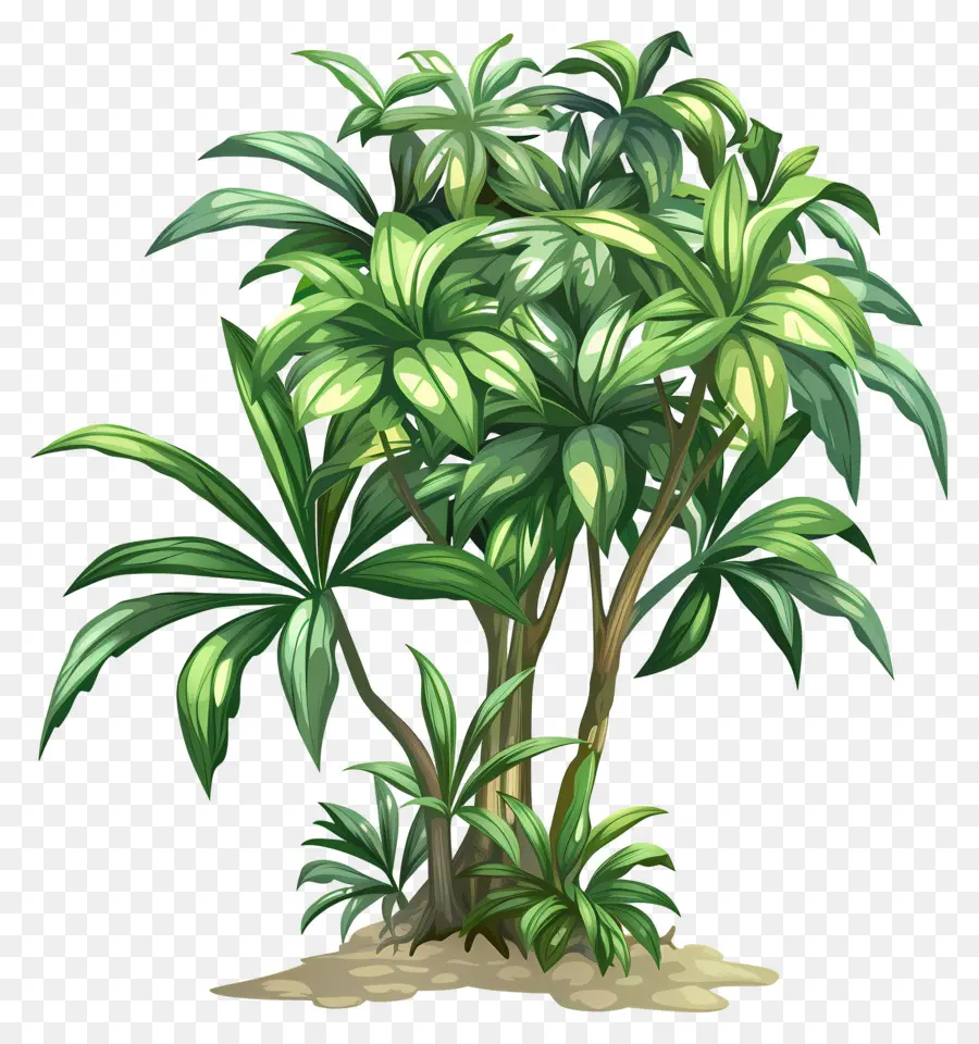 Arbusto Verde，Pequena Planta PNG