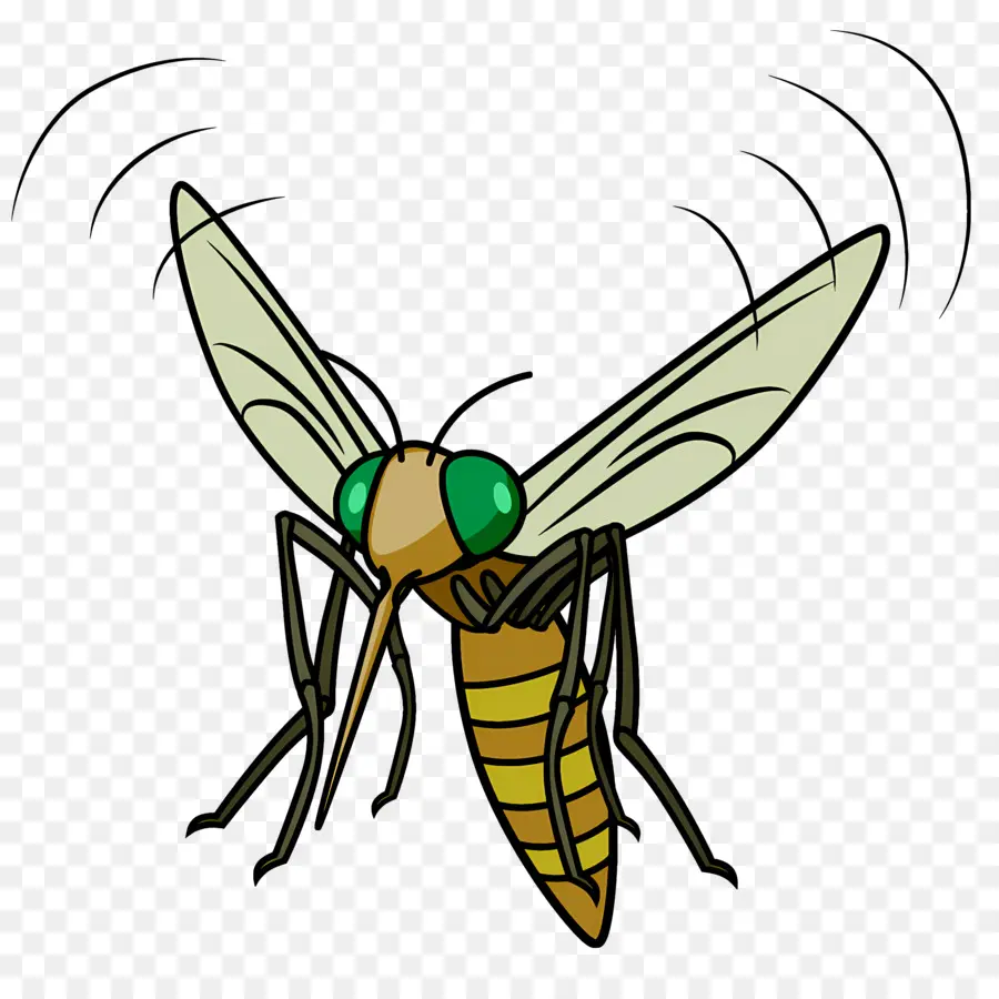 Mosquito，Cartoon PNG