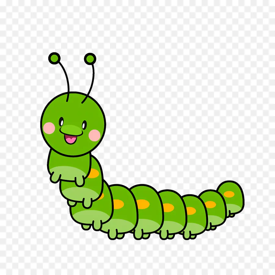 Cartoon Caterpillar，Worm Fofo PNG